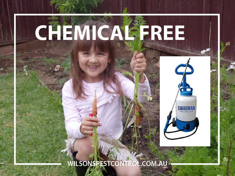Pest Control Sydney - Chemical Free